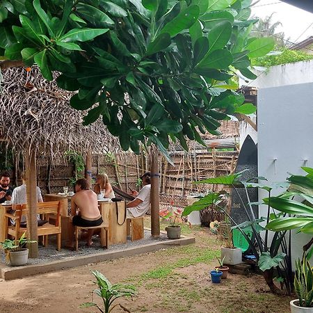 Cosynsurf Bed & Breakfast Matara Ngoại thất bức ảnh