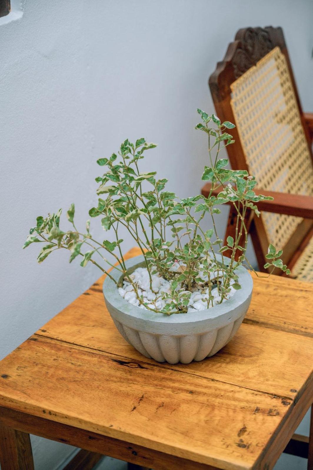 Cosynsurf Bed & Breakfast Matara Ngoại thất bức ảnh