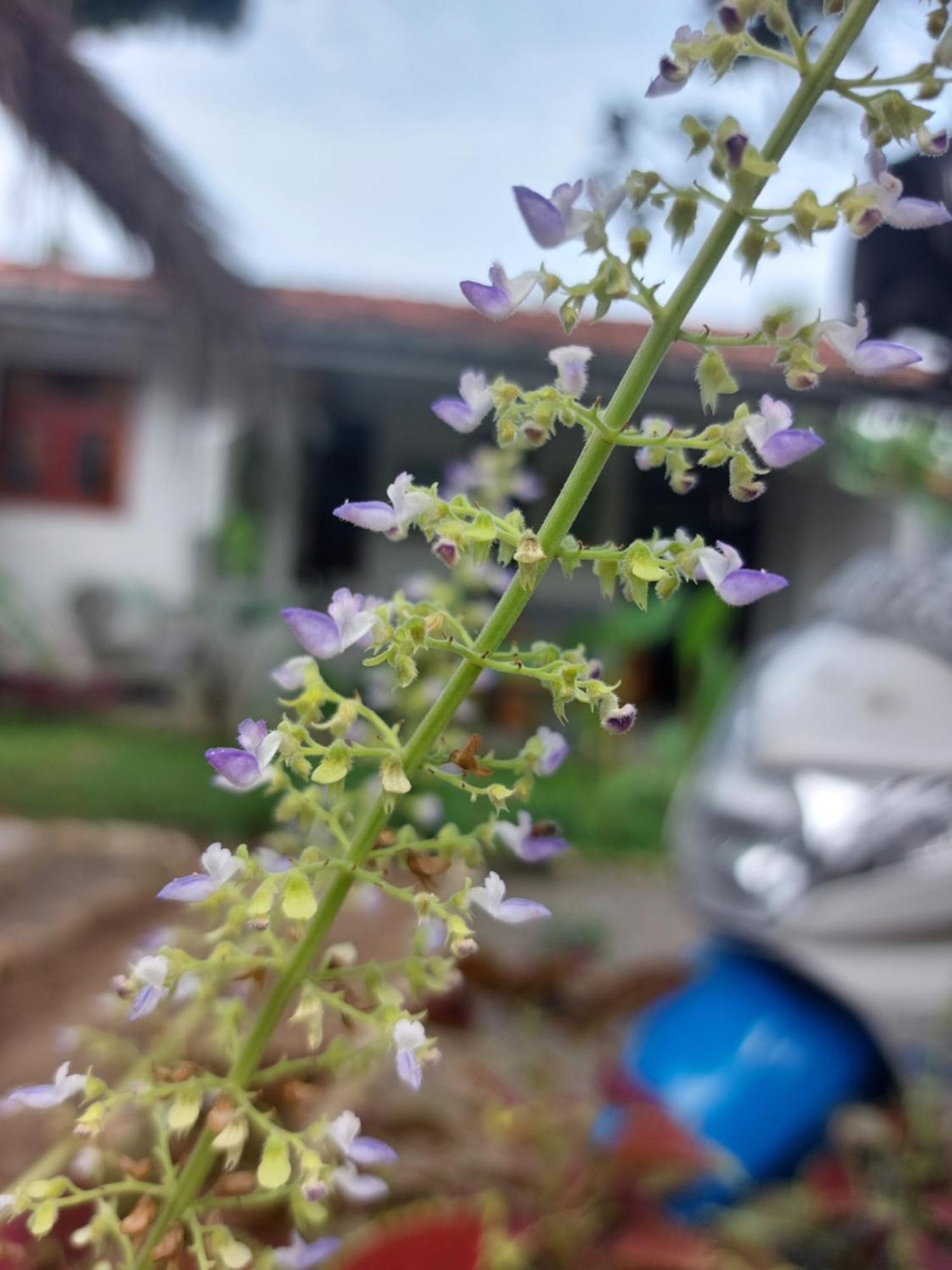 Cosynsurf Bed & Breakfast Matara Ngoại thất bức ảnh