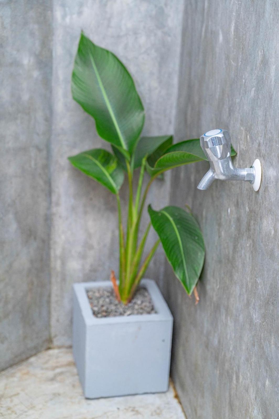 Cosynsurf Bed & Breakfast Matara Ngoại thất bức ảnh