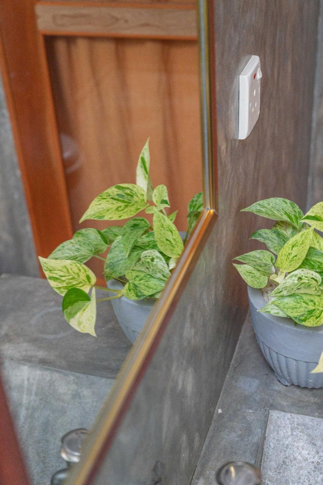 Cosynsurf Bed & Breakfast Matara Ngoại thất bức ảnh